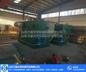 山東方盛天然環(huán)保公司 溶氣氣浮機(jī)制造領(lǐng)域的創(chuàng)新引領(lǐng)者
